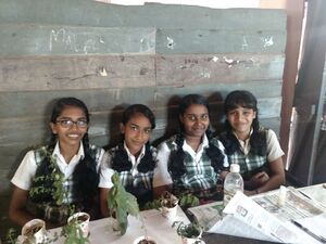 26051-Exhibition (1).jpg