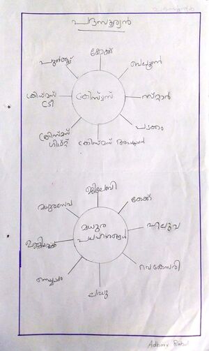 33424-KTM-KUNJ-ADHARV RAHUL.jpg