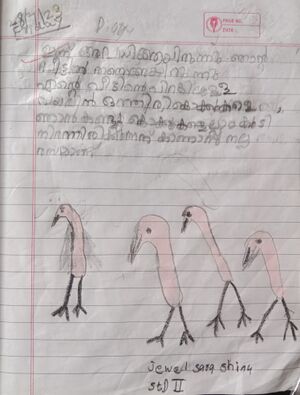 36341-ALP-KUNJ-JEWEL SARA SHINU.jpg