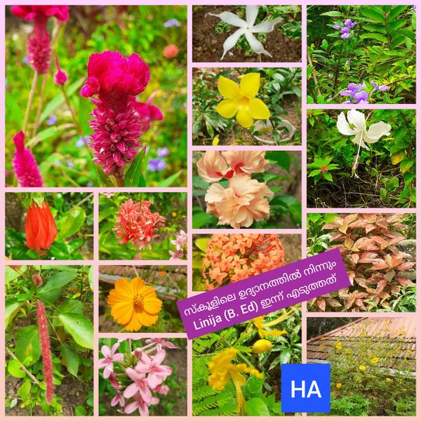 പ്രമാണം:42031 1.jpeg