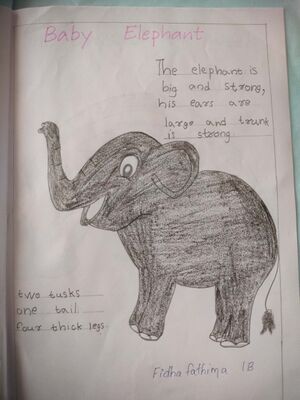 43429-TVM-KUNJ-FIDHA FATHIMA.jpg