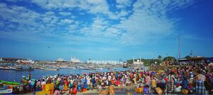 44223 fish market.jpeg