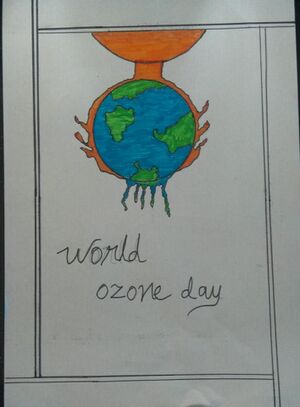 47045-ozone day 8.jpeg