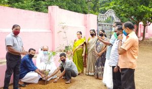 Environmental day 2020.jpeg