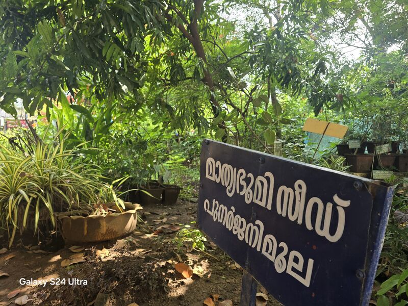 പ്രമാണം:Seed park 2024.jpg
