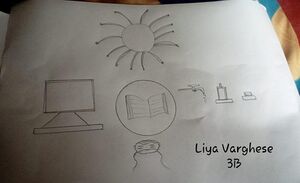13561-Liya Vargese,3B.jpeg