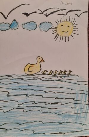 13661-KNR-KUNJ-RIZAN RASHEED.jpg