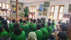 15051 ngc class 2.jpg