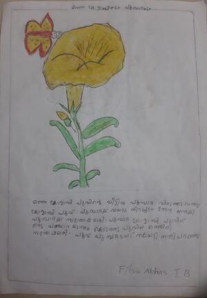 18212-MLP-KUNJ-FILSA ABHAS.jpg