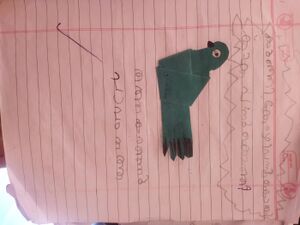 18477-MLP-KUNJ-MUHAMMAD SHAHAN.jpg