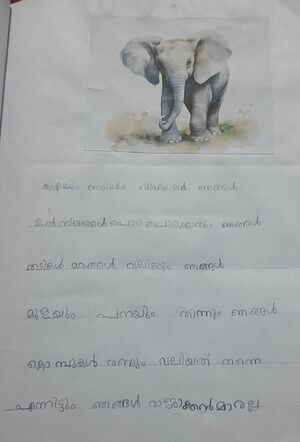18542-MLP-KUNJ-ANHAS OT 1 B.resized.jpg