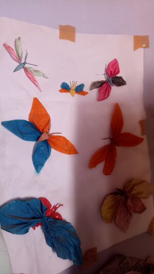 18743 IMG20170222144643.jpg