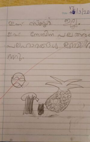 19855-MLP-KUNJ-NIYA MEHRIN 1C.jpg