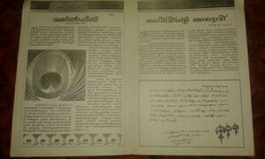 22075-sarga2 (1)jpg.jpeg