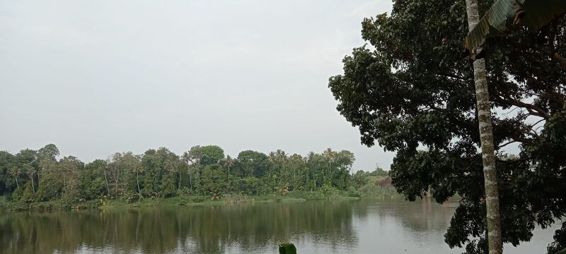 പ്രമാണം:25018 Beauty of Periyar.jpeg
