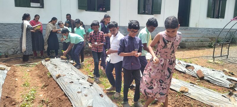 പ്രമാണം:31262-valavoor-farming 3.jpg