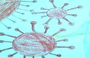 42209-ANJALI DINESH.jpg