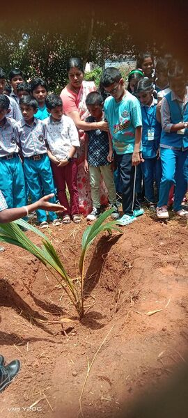 പ്രമാണം:43045 maram.jpg