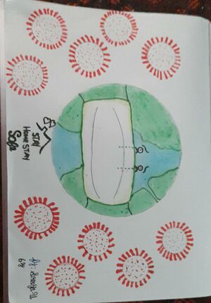 Afiya Parvin.A 40E.jpeg