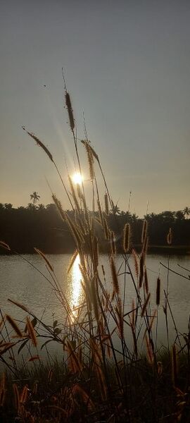 പ്രമാണം:My village13180.jpeg