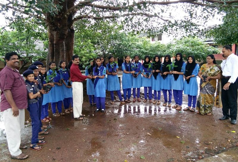 പ്രമാണം:വൃക്ഷത്തൈവിതരണം.jpeg