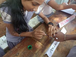 17542 school election.jpeg