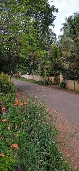 പ്രമാണം:22229 venginissery.jpeg