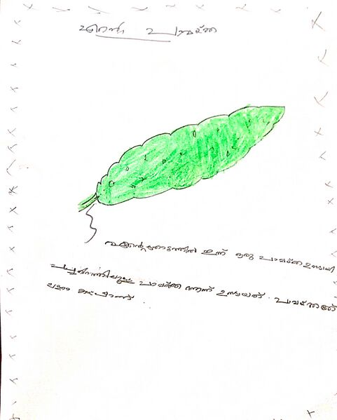 പ്രമാണം:23512-TSR-KUNJ-FATHIMA SAHRA.jpg