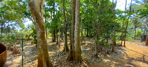 24071-SCHOOL PREMICES4 aushath.jpeg