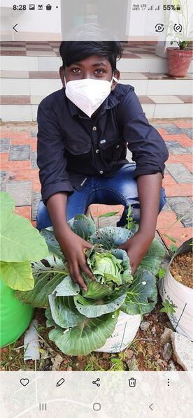 പ്രമാണം:25095 E2.jpeg