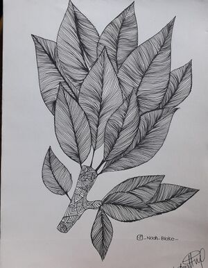 33056 talent 2022 41.jpeg