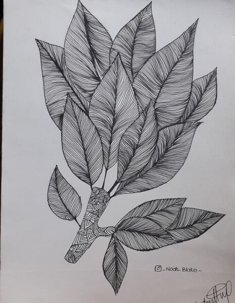 പ്രമാണം:33056 talent 2022 41.jpeg