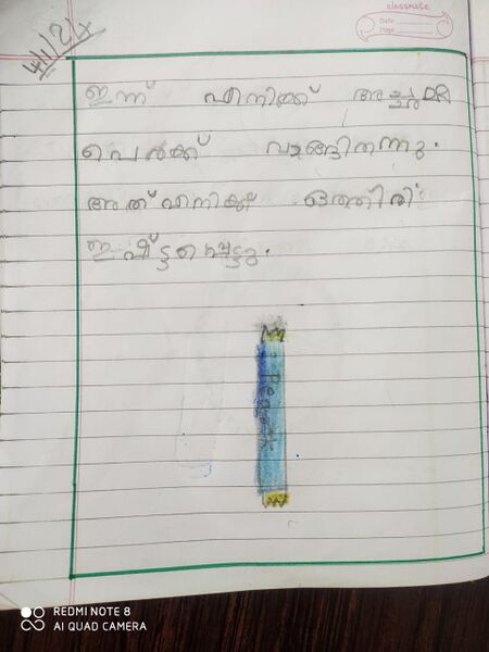 പ്രമാണം:33243-KTM-KUNJ-SAHIL ALOM.jpg