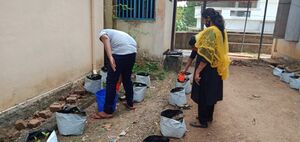 37001 pachakari2.jpeg