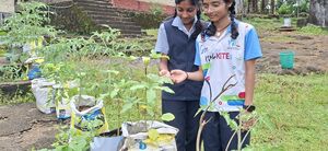 38077 Vegitable Garden 2025 6.jpg