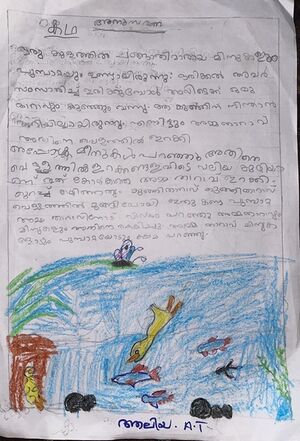 48216-MLP-ALIYA AT.jpg