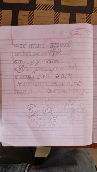 പ്രമാണം:48227-MLP-KUNJ-FATHIMA MANHA M C.resized.jpg