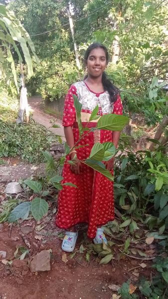 പ്രമാണം:WITH MY TREE 6.jpg