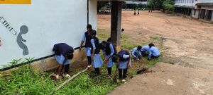 WhatsApp Image 2024-11-07 at 4.38.34 PM.jpeg