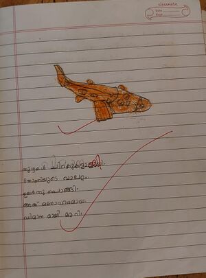 14860-KNR-KUNJ-MUHAMMED ADNAN K V.jpeg