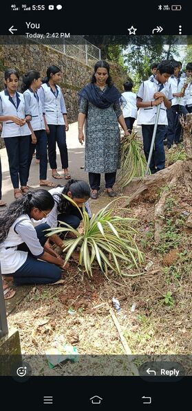 പ്രമാണം:16044.3 തൈനടീൽ.jpg