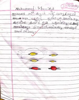 17542-KKD-KUNJ-MOHAMMED KHEZIN.jpg