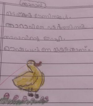 19254-MLP-KUNJ-SHAHABAS HIDER.jpeg