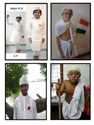 25071 fancydress.jpg