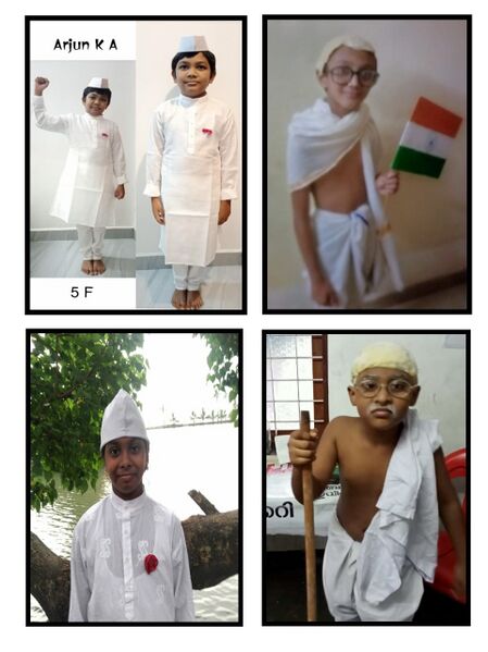 പ്രമാണം:25071 fancydress.jpg