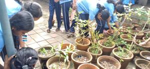 25456 School Social Service Scheme.jpg