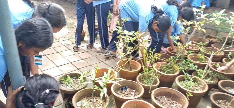 പ്രമാണം:25456 School Social Service Scheme.jpg