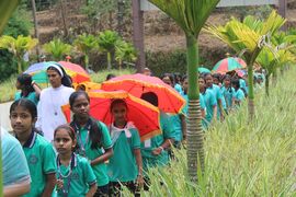കുട്ടികൾ പ്രദിക്ഷണമായി വിദ്യാലയത്തിലേക്ക് കടന്നുവരുന്നു