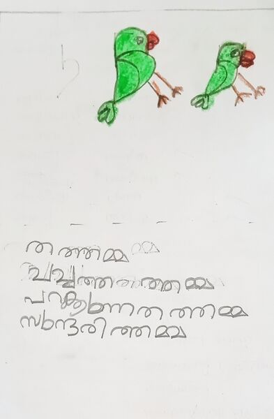 പ്രമാണം:35229-ALP-KUNJ-AFNA MOL IB.jpg