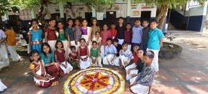 35330 ALP ONAM3.jpg